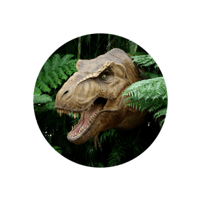 Painel Redondo Dinossauro T-Rex - Adecore Tecidos